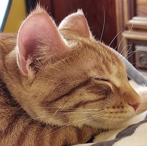 Meet your Posher, Rayna